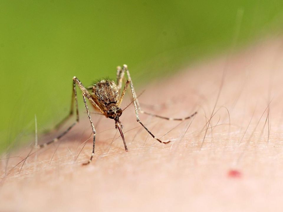 ��� ���������� �� �������: ����������� ������ � ������� ��������