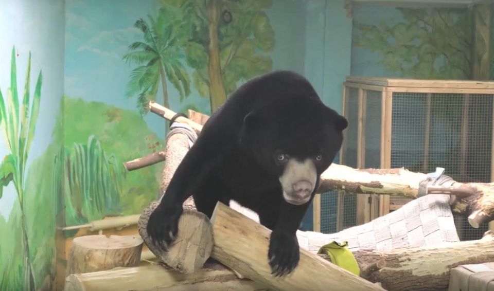 1 ��������� �������������� �������� ��������� ��������� ���������