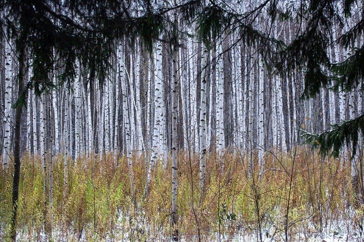 ������ ��������� �� ������ ������ � ������������� ������� � ������ ��������