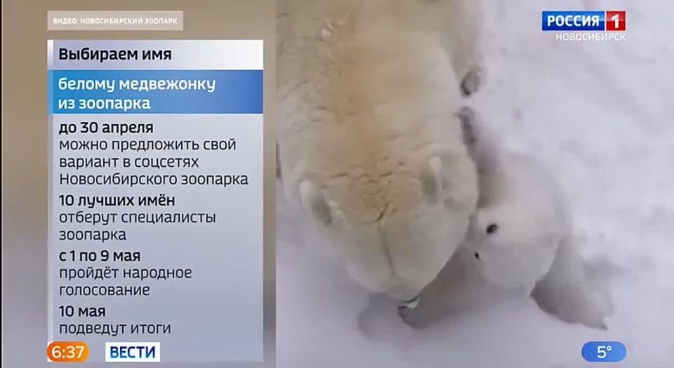 ������ ��� ����������. ������������� ������� ������� �������! ����� ��������� ��� ��� ������ ����������, ������� ������� 7 ������� � ��� � �����