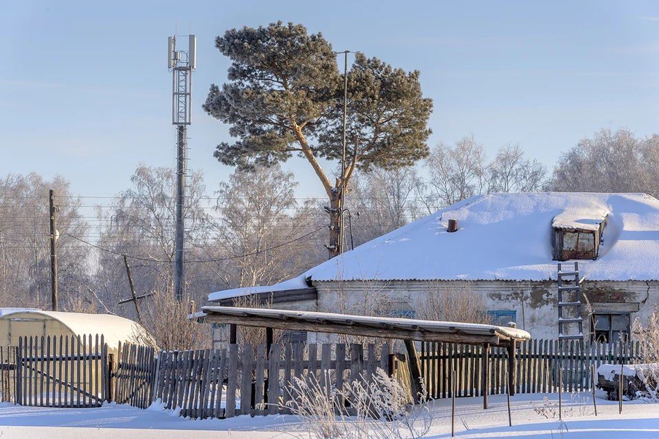 ����� ���������: ��������� ��������� ���������� ������� �����, ��� ������ �� �����