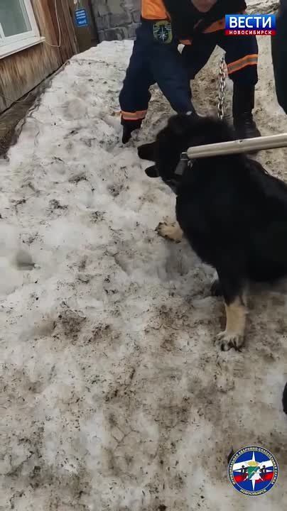 ������ ����������. ������������� ��������� ������ �� ������ ������, ���� ������� �������� � ����