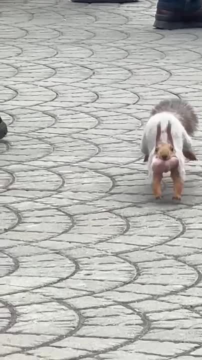 � ������������� �������� ����� ��������� ������� � ����� ������