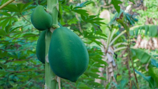 ����� �� ��������� ������ � �������� ������: ������ � ������������