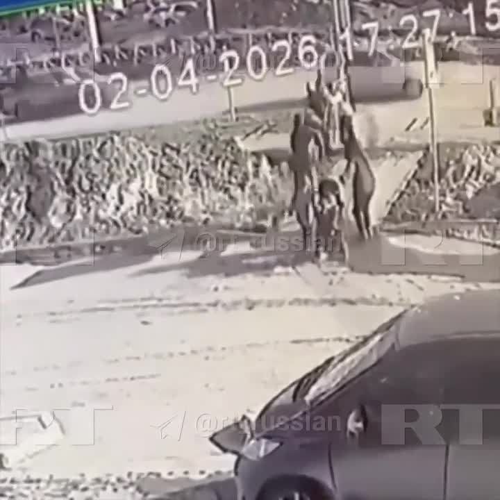 ��� ��������� �� ��������������� �� ������ ���� ��������� � ������� � ��������� �������� � ������������