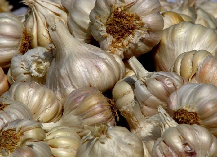 ��� ������� ������� ��������: ������� ����������� ���������