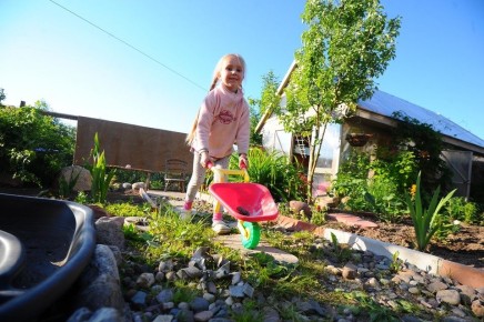 Новые правила сбора растений и грибов: что ждет томичей с сентября