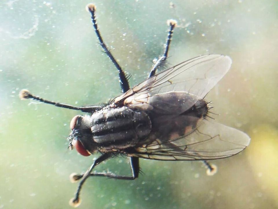 ��� �������� ������������ � ������ � ���� � ������� � ����������� ������