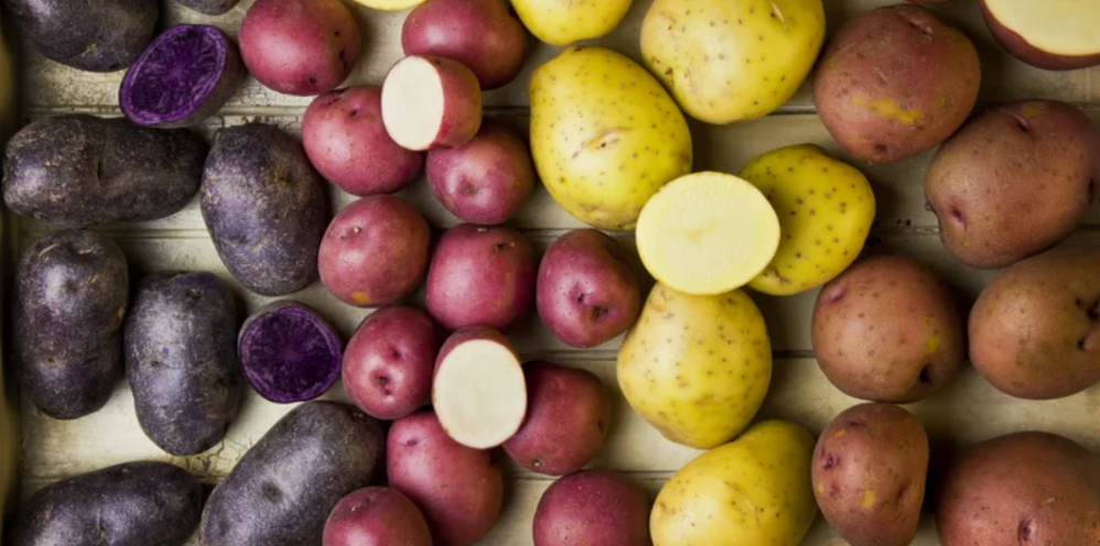 Как выбрать идеальный сорт картофеля: секреты успешного урожая и кулинарии