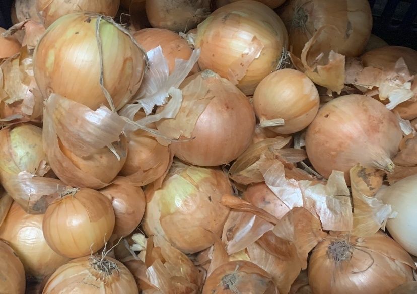 ������� �������� ����: ������ ����� ������� ���������� ���� �������