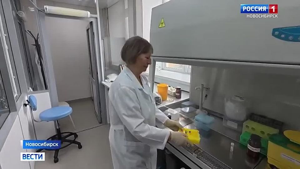 ����� ������. ������������� ������ ����� �� ��������� ���� ����������� ������������ �� ������������ ����������� ��������