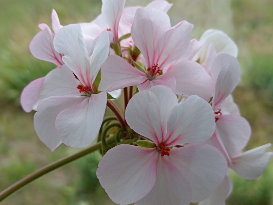 ��� ��������� �� ������� � ������, ����� ��� �������� ��������� ��� ����