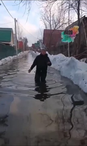 "���� �� ������". ���� � ��� "��������������" � ������������ �������� ������ ������