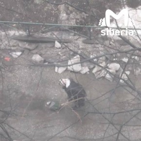 ����������� ���� ������ ���� � �� � ���� � ������������