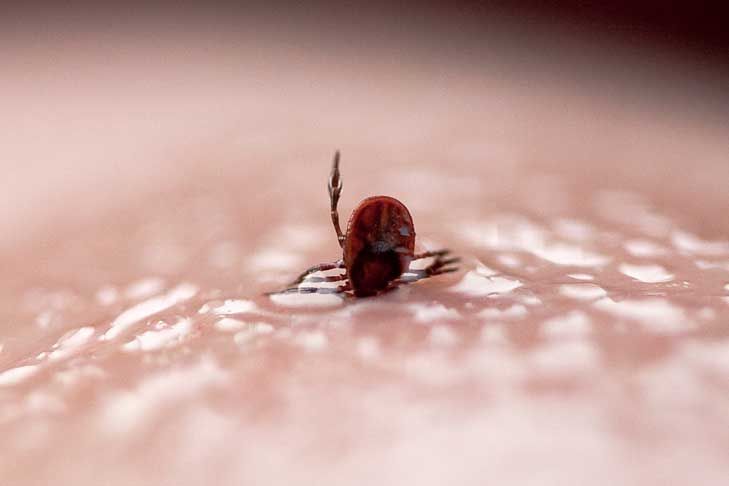 ��� ����� ������ �������� ������� ������������� ������� ������-2026