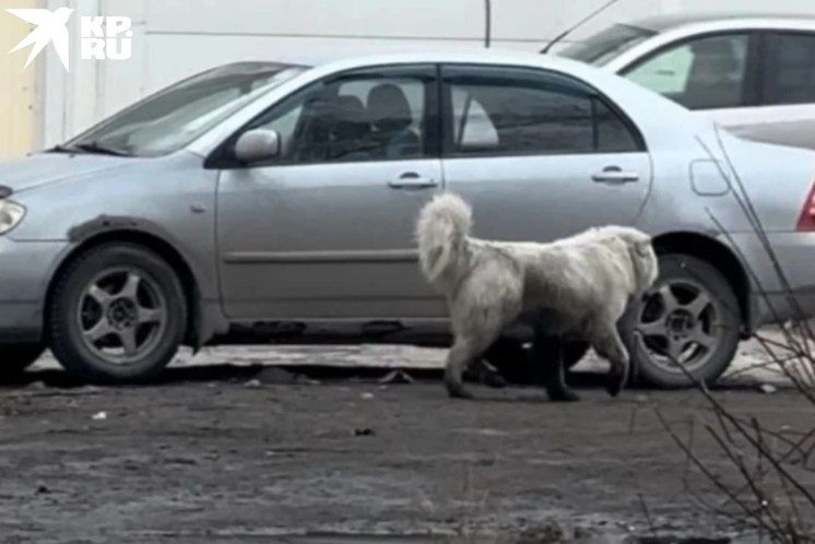 ����� ������� �� ����, ���� � ����� �������: ��� ������������� ������ ����� �� ���� ��������