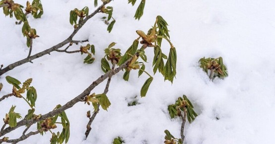 ��� ������ ���� ��� �� ���������� ����������: ������������ ���������