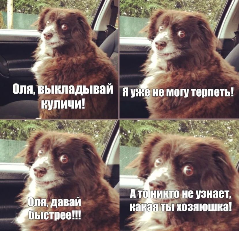 �������� ���������� � �����? ������ ������ �������? � ����� ��� �������?