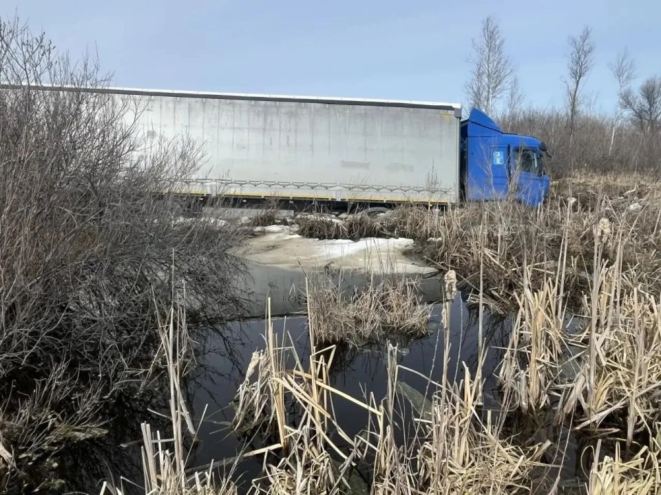 �������� ����������� ����� �� ������ ��� �������������