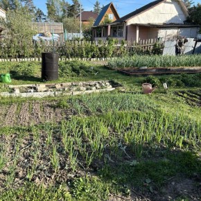 ������� ����� ����� �����������: ��� ����������� ������� ��� ������ �������