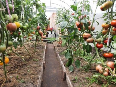 ��� ������� ������� 3�6 ������ �������: �������� � ������