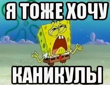 Летние каникулы в школах Новосибирской области начнутся с 27 мая