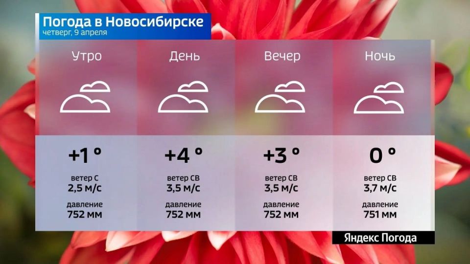 ������� ������ �� 9 ������ 2026 ���� � ������������� �������