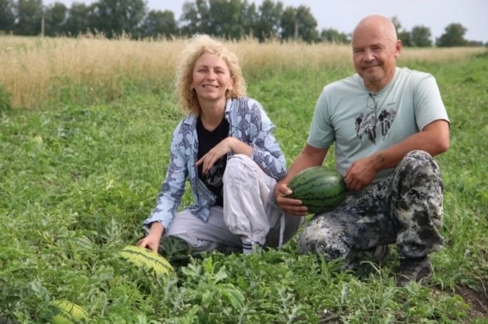 ��������� ������ ������: ��� �������� ����� �������� �����