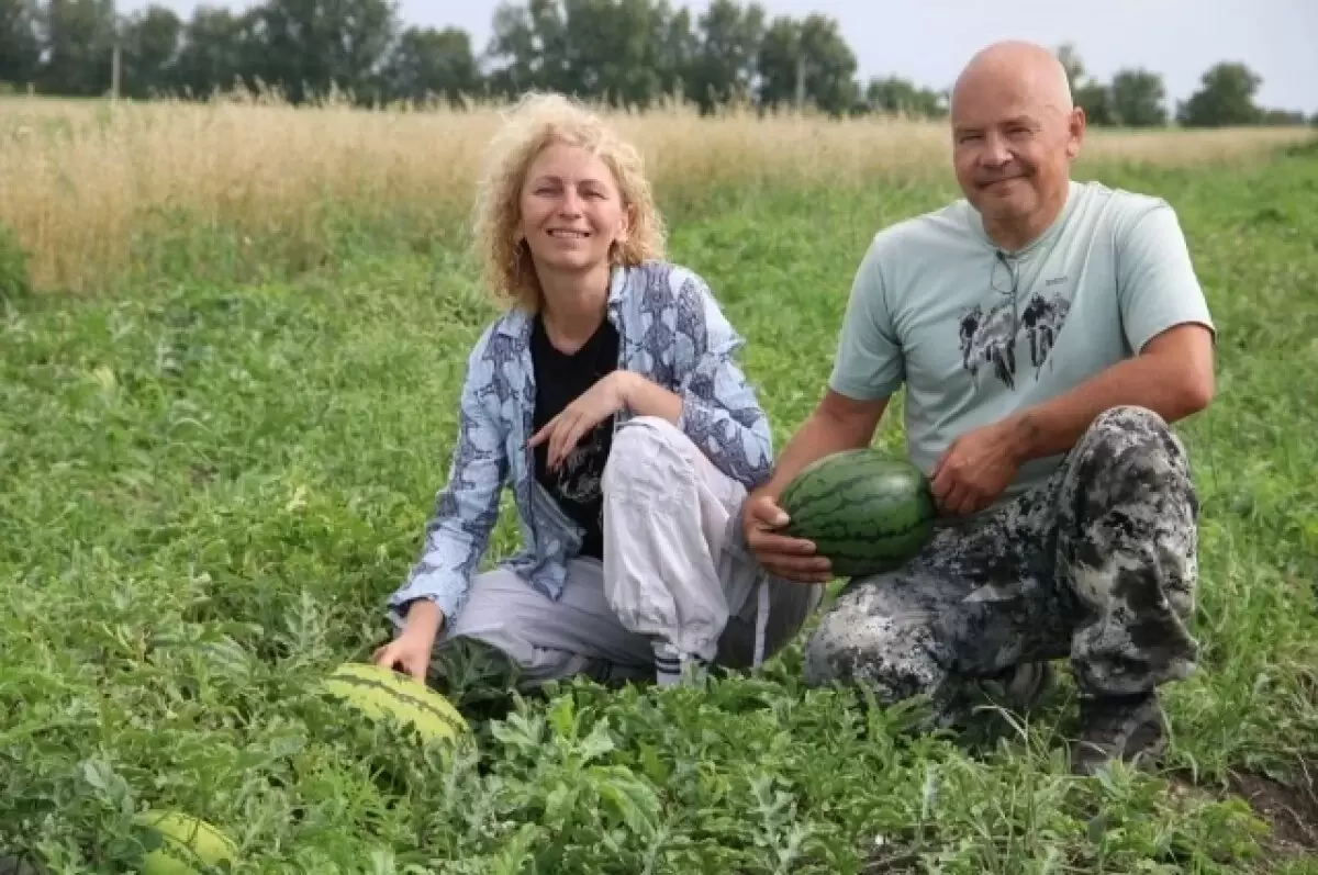 Необычные арбузы Сибири: как семейная ферма покоряет рынок
