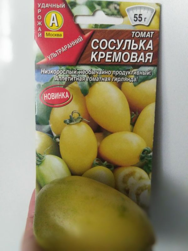 ����� �������� ��������: ������� ������ � ����������� ������