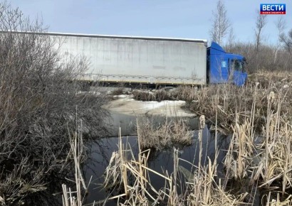 Смерть в кювете. В Барабинском районе Новосибирской области произошло смертельное ДТП