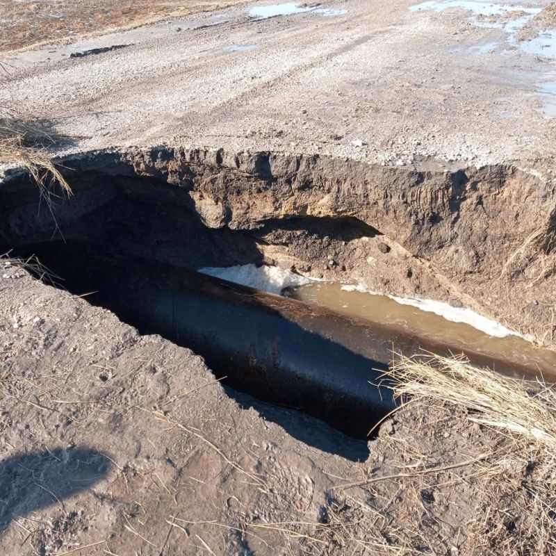 ������ ���� � ������� ��������