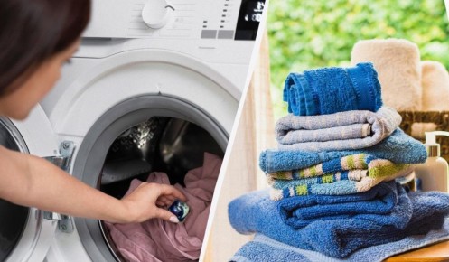 ��� ������� �������� ������� ����������: ������� ���� � ������� � �����