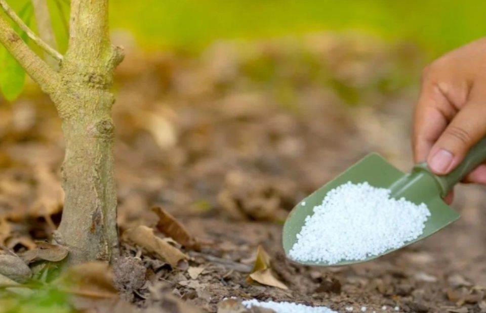 ������� ������ � ����� �� �����: ��� �� ����� ������������ ��� ���������