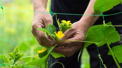 ��� ����������� ��������� ������ ����� ��������� ������ �������