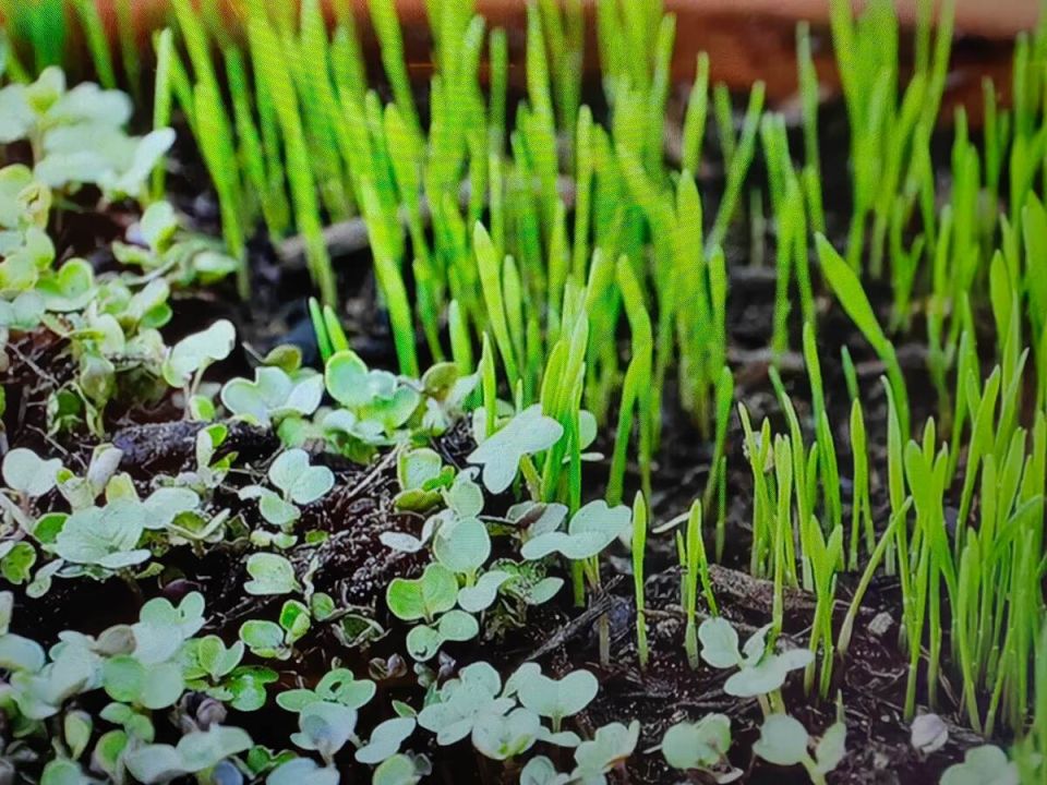 ����������� ������ �� �����������: ��� �������� ������ �������� ������� ���