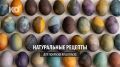 Как окрасить яйца к Пасхе с помощью натуральных ингредиентов