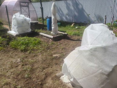 Как вернуть жизни своему саду после морозов: доступные и действенные методы