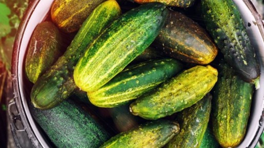 ������, ������� ������� �������� ��� ������, ����� ����� ��������� ���������� ���������� � ���� �����������