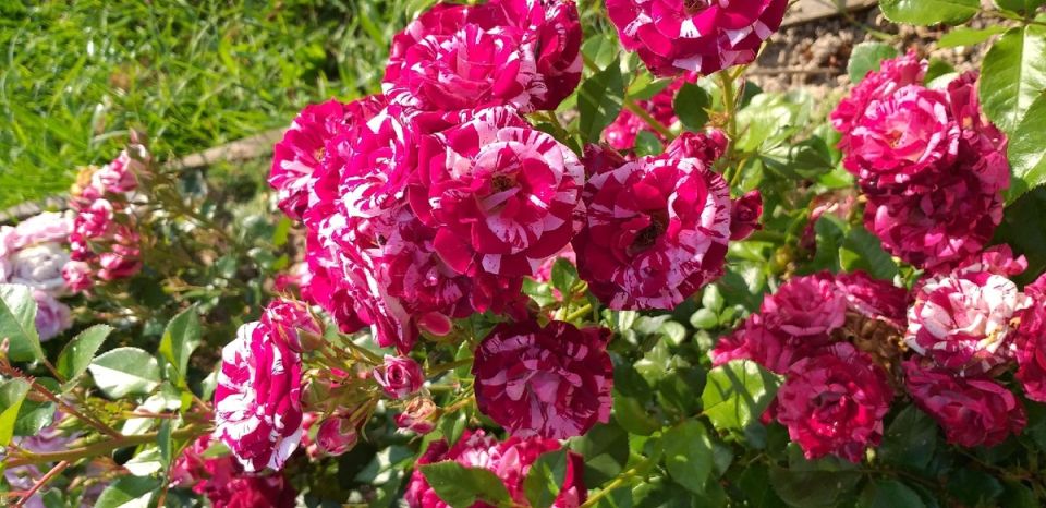 ������� ��� � ����� ������: ����� �������� ������ �� �����?