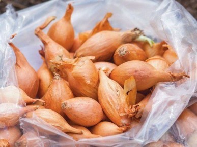 ���������� �������� ����-�����: ������ ��������� ��� ��������� ������