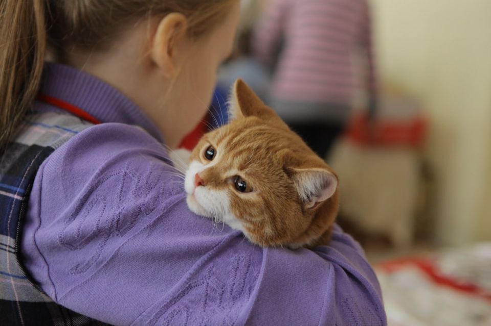 ��� ��������� ���� � �������� � ������� ��������: ������ ������������