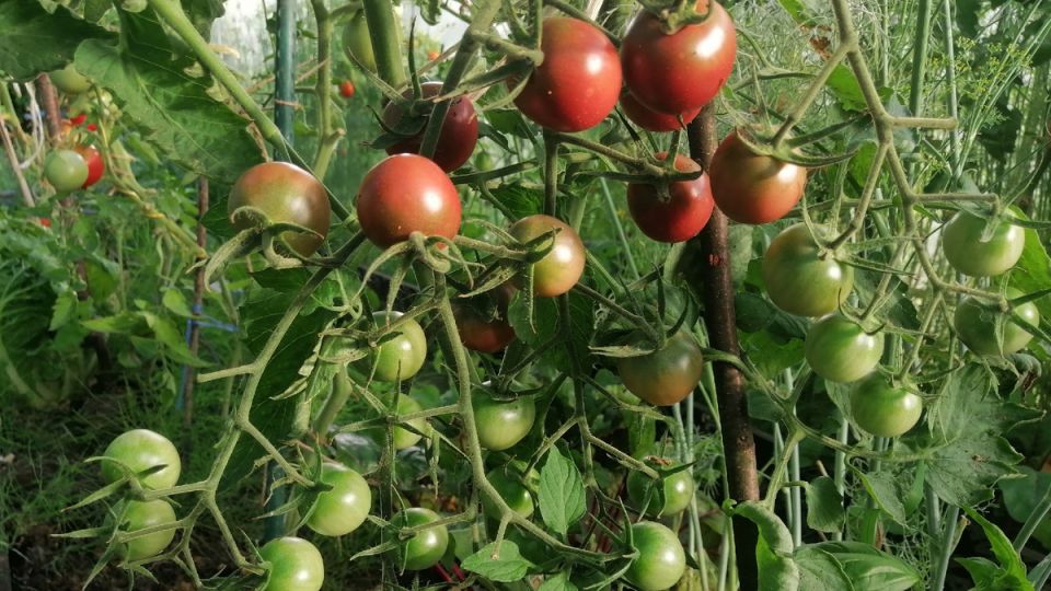 ������������� ������ � ��������� ����: ��� �������� ��������� ������ ��� ������ �����