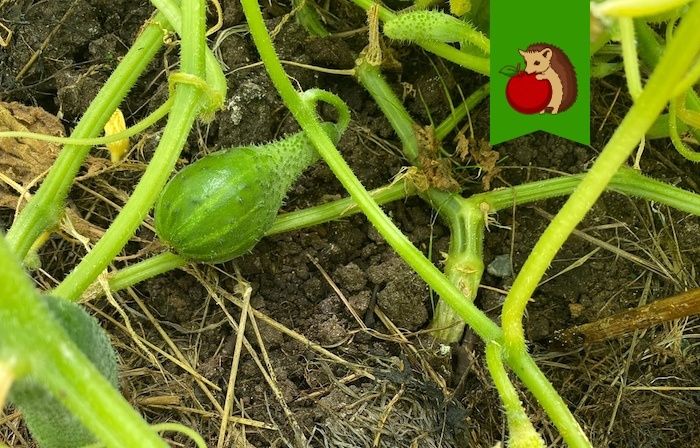 ��� ��������� ������ � �������: 3 ������� �������� � �� �������