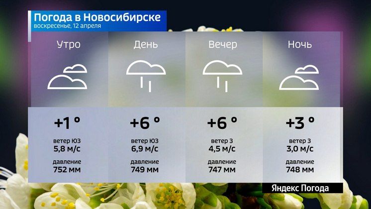 ������� ������ �� 12 ������ 2026 ���� � ������������� �������