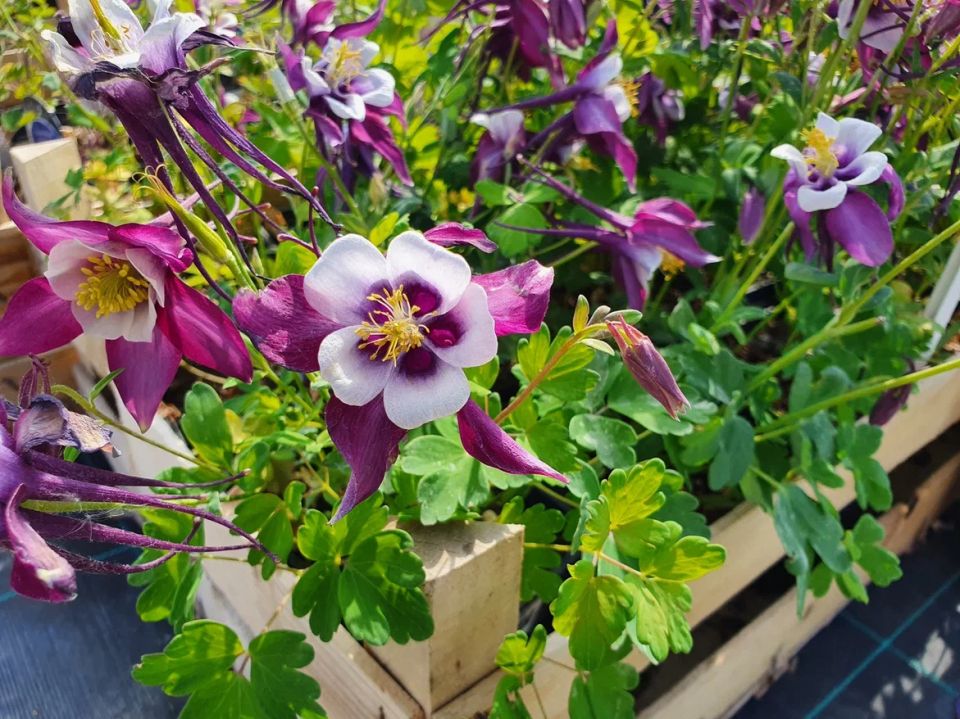 7 ���������� ��� ������ ����: �����, ������� �� ������� ������