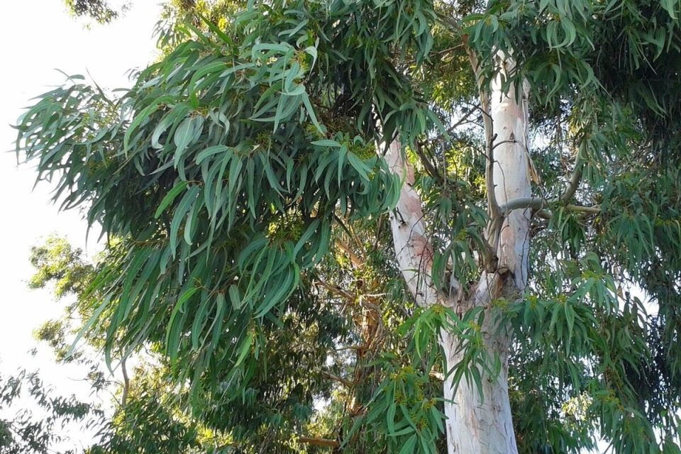 �������� � ����: ������������ ������ ��� ������ �������