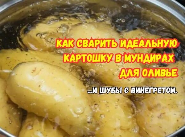 ������� ��������� ��������: 5 ��������� ��� ����������� �������