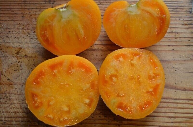 ��� ����� � ���������� �������� ������ �������: ��������� ����������