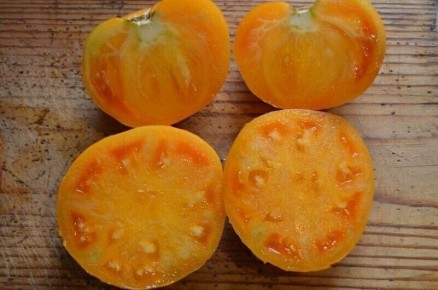 Как легко и эффективно собирать семена томатов: пошаговая инструкция